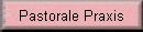 Pastorale Praxis